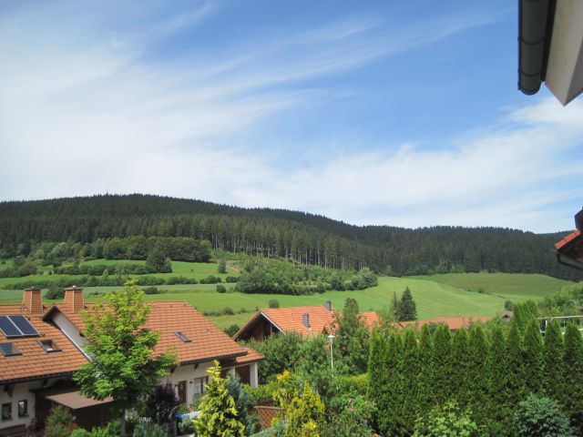 Umgebung