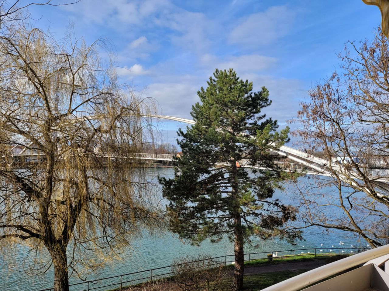 Ausblick auf den Rhein